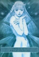 Night of the Succubus cover