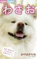Series Image