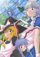 Series Image