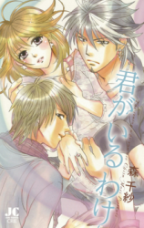 Series Image