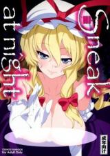Touhou dj - HI-Sneak at night cover