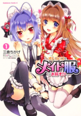 Series Image