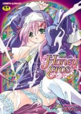 Honey Eros cover