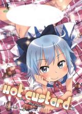 Touhou dj - Hot Custard cover