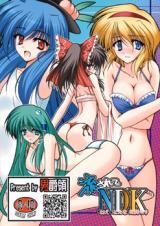 Touhou dj - Nagasarete NDK cover
