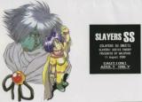 Slayers dj - Slayers SS cover