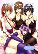 Dead or Alive dj - DOA Harem cover