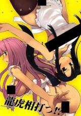 Shin Koihime Musou dj - Dragon vs Tiger cover
