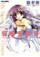 Boku no Shiroi Hana cover