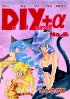 DIY + α cover