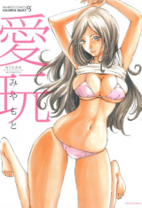 Aigan (Miyamoto) cover