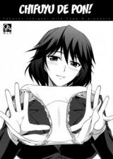 IS dj - Chifuyu de Pon! cover