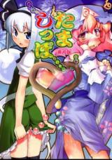 Touhou dj - Tama Shippo cover