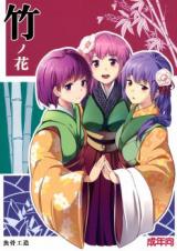 Touhou dj - Bamboo Flowers cover
