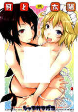 Tsuki to Taiyou cover
