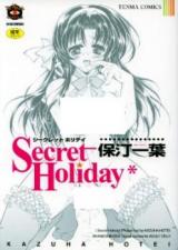 Secret Holiday cover
