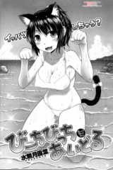 Beach Bitch Idol cover