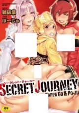 Secret Journey cover