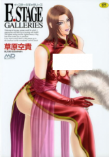 E. Stage cover