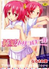 Junai Tricolore cover