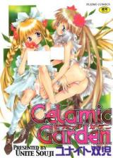 Celamic Garden cover