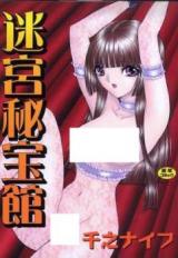 Meikyuu Hihoukan cover