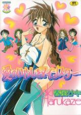 Ai no Iyashi o My Sister cover