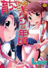 Sodachizakari no Kiken na Toshigoro cover