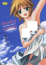 Bluesky Melody cover