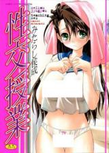 Seikou Jugyou cover