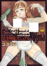 Kanzen Nakadashi Manual cover