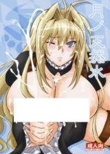 Sekirei dj - Tsuki no Tennensui cover