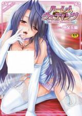 Harem Wedding - The Sweet Honeymoon cover