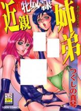 Kinshin Mesu Dorei Ane Otouto cover