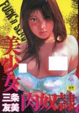 Bishoujo Niku Dorei cover