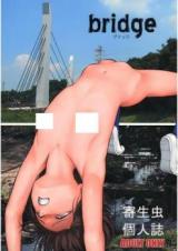 Bridge cover