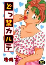Dokkin Karute cover