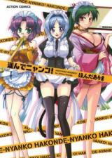 Hakonde Nyanko! cover