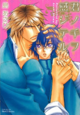 Series Image