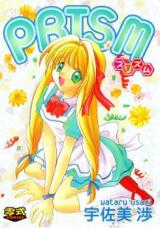 Prism cover