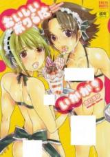 Oishii Bokura wa Ika ga? cover