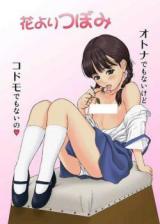 Hana Yori Tsubomi cover