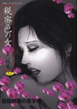 Himitsuiro no Onna cover