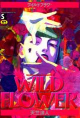 Wild Flower cover