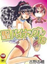Sei Painapple 16 cover