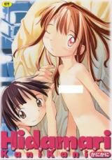 Hidamari cover