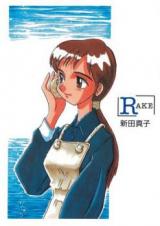 Rake cover