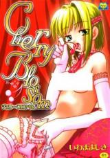 Cherry Blossom cover