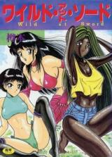 Wild at Sword cover