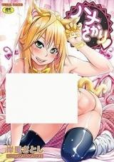 Hame Sakari cover
